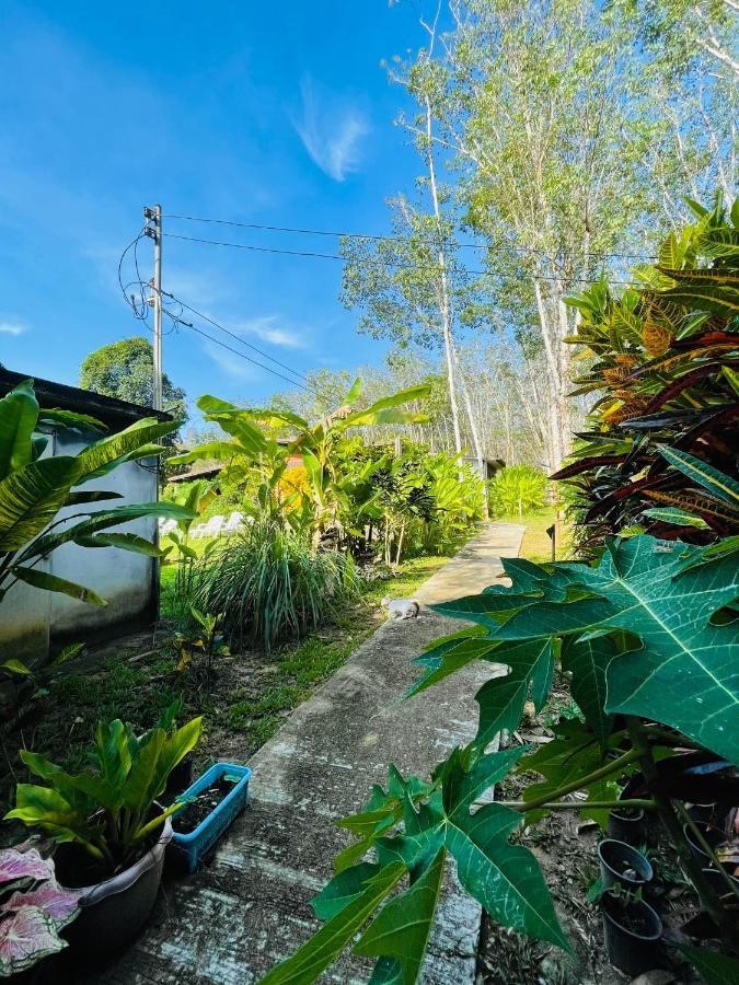 Lok Mun Bungalows Ko Yao Noi Exteriér fotografie